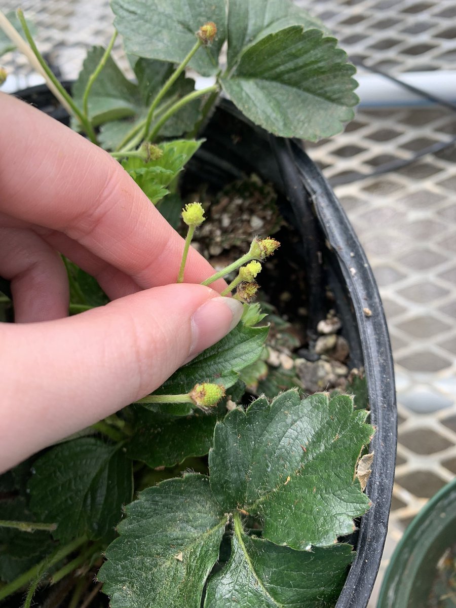 brianna ♡ tweet media