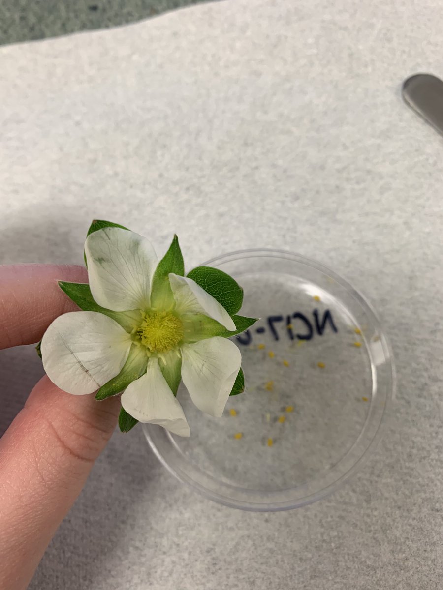 brianna ♡ tweet media