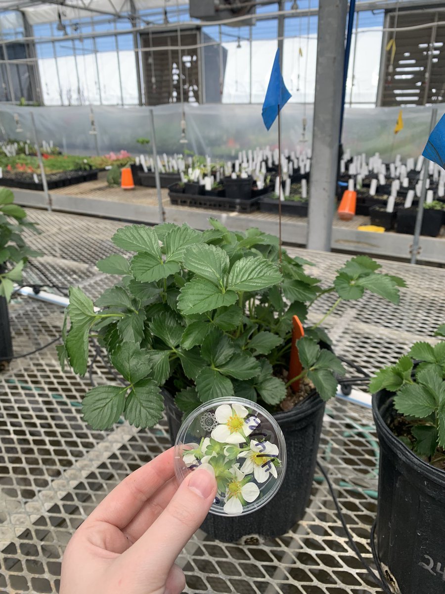 brianna ♡ tweet media