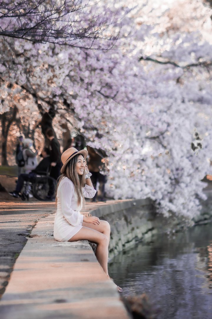 Grace Kim 🇰🇷🇺🇸 tweet media