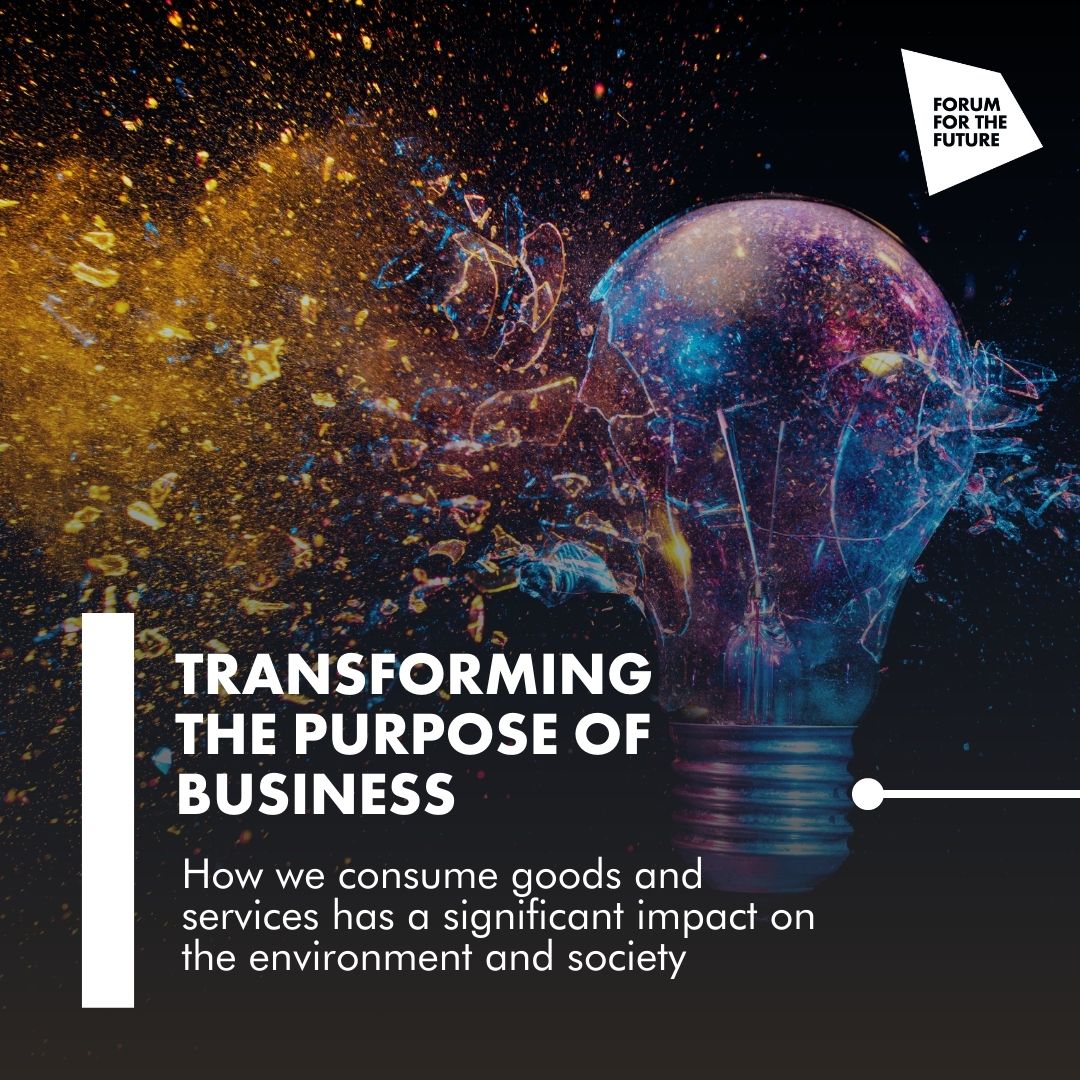 Forum for the Future tweet media