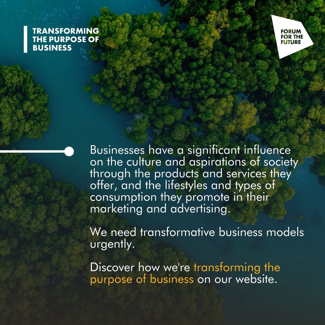 Forum for the Future tweet media