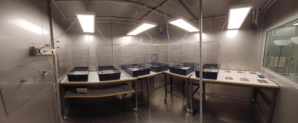 Susana Garcia Dominguez tweet media