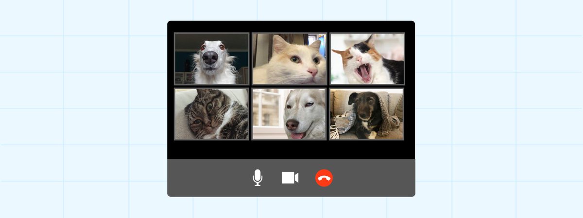 Am #WorldPetDay möchten wir unseren flauschigen (und nicht ganz so flauschigen) Freunden in den Doodle-Teams ein Lob aussprechen! Sie nehmen vielleicht nicht an den Treffen teil, aber sie sorgen immer für eine tierisch gute Atmosphäre 🐾🐕🦎.