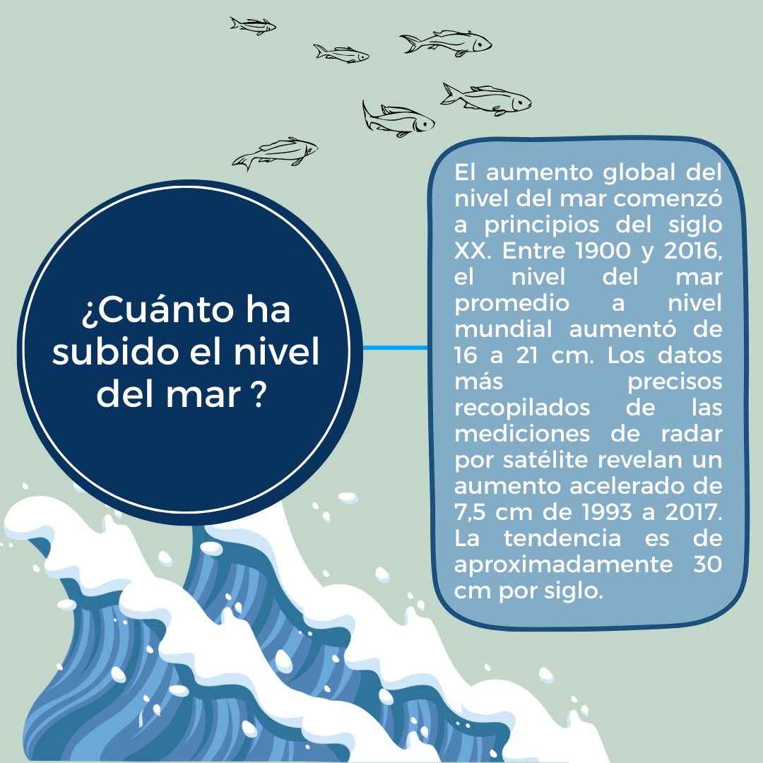 Esta aceleración se debe principalmente al calentamiento global causado por el hombre, que está impulsando la expansión térmica del agua de mar y el derretimiento de las capas de hielo y los glaciares terrestres.
