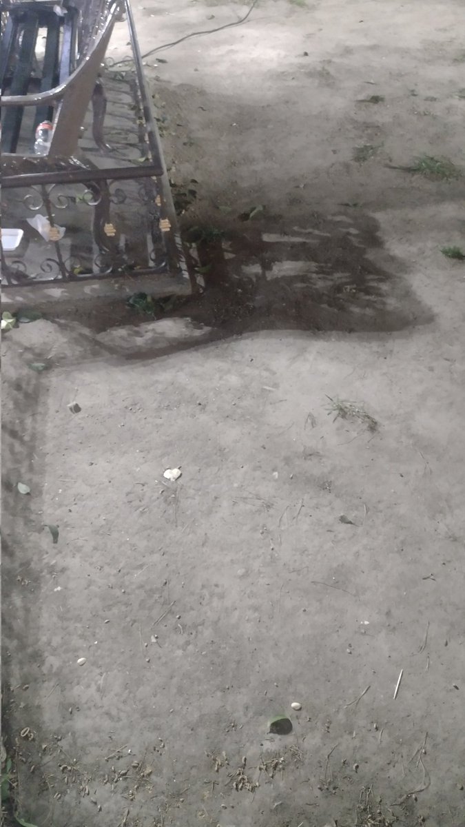 everra's tweet photo. en deplorables condiciones los jardines de plaza de armas , que vergüenza @DurangoCap @ObrasPublicasDG  @josejoseantonio  @Luis_TV10  @TonyGaytanGGL @Sallvatoree @luizork https://t.co/UWg6pY15o8