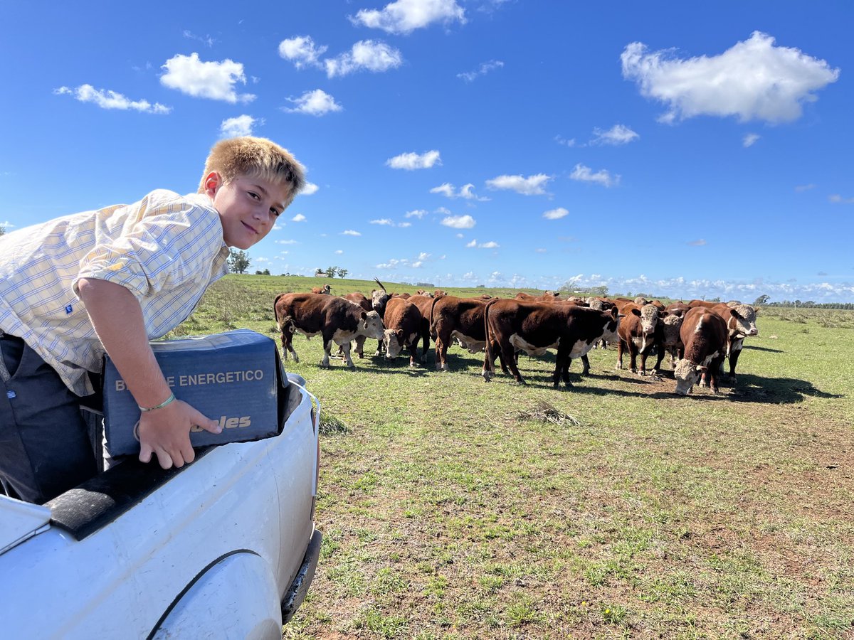 Benja suplementanfo la torada de remate!!