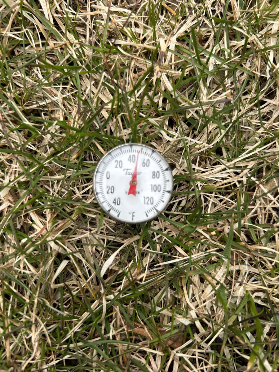 It’s been 53 weeks since we posted the same picture & soil temps are a couple degrees ahead. In southern NH we are about ready for the turf to wake up, farther south into MA, RI & CT we are even closer. Another growing season is upon us in New England! #compost #soil #letsgrow