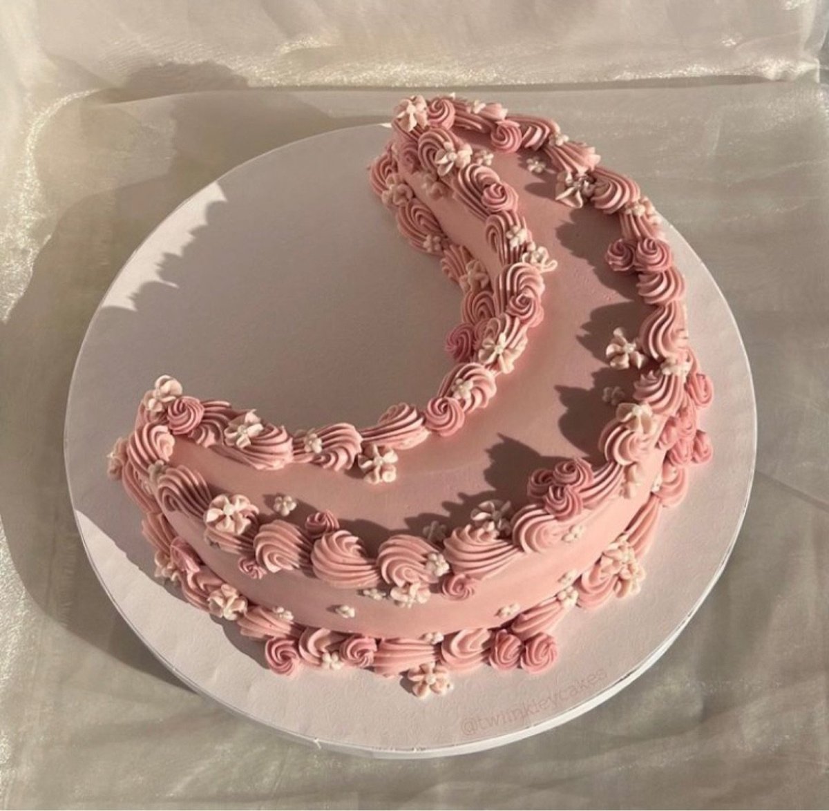 feralballads's tweet photo. moon-shaped cake 🍰 https://t.co/kw9Vc8qyyb