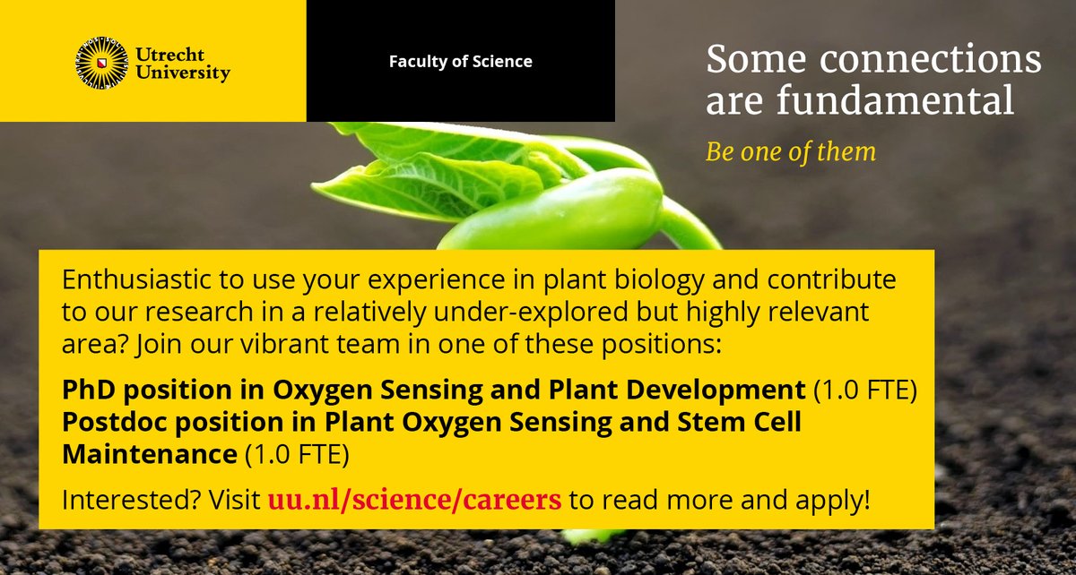 Excited about oxygen sensing, plant development and/or imaging? Come and join my team at <a href="/UU_Plants/">UU_Plants</a> ! I'm hiring a PhD and Postdoc to unravel the role that oxygen plays in plant development and stem cell maintenance. Please RT! 
uu.nl/organisatie/we…
uu.nl/organisatie/we…