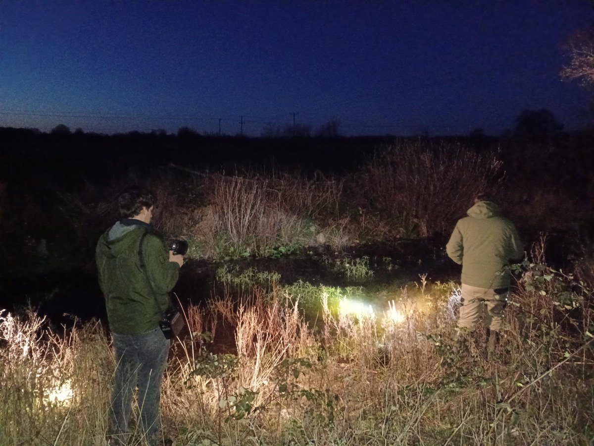 jba_landmarc's tweet photo. With our ecology season in full swing, we are “scaling up” operations onsite-surveys from March to July - don’t miss this window to avoid unnecessary delays and cost!
##eDNA #populationestimate #planning #developments #ecology #greatcrestednewts #speciesprotection https://t.co/wzib3wfueu