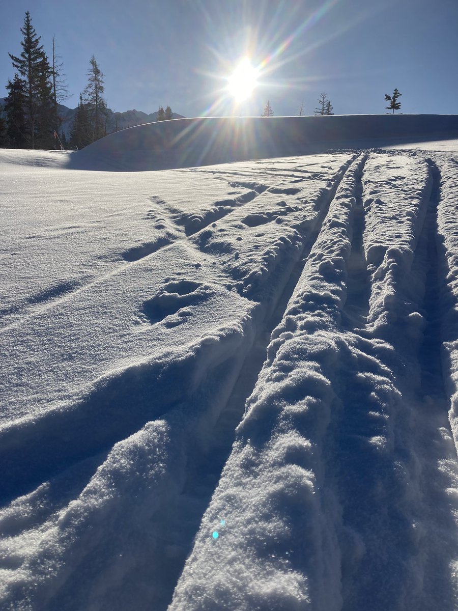 3-4” of fresh cold powder snow. Groomer is going around the track picking up trail markers, so there will be fresh corduroy on the skate lanes today.🥶 5 degrees 8 am but blue sky day gorgeous