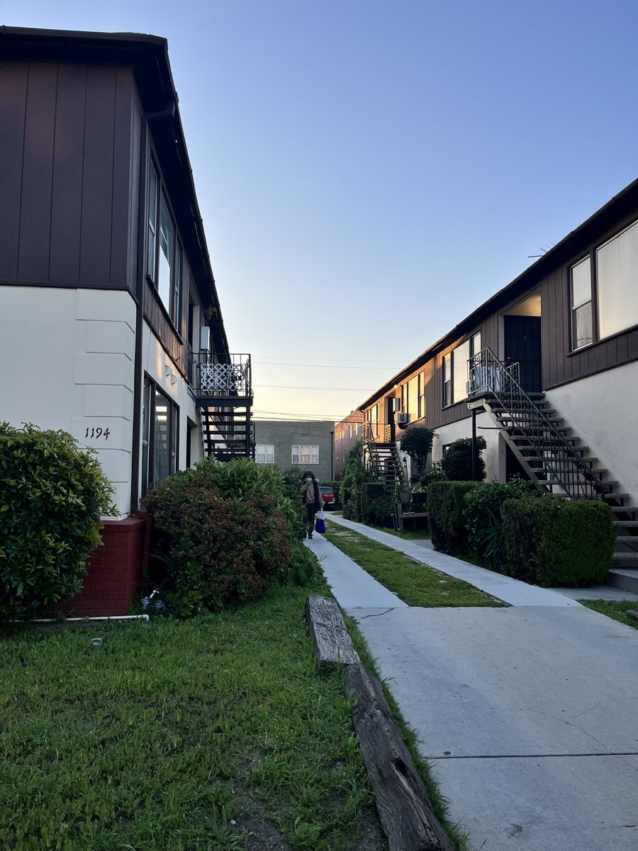 Michelle Valles tweet media