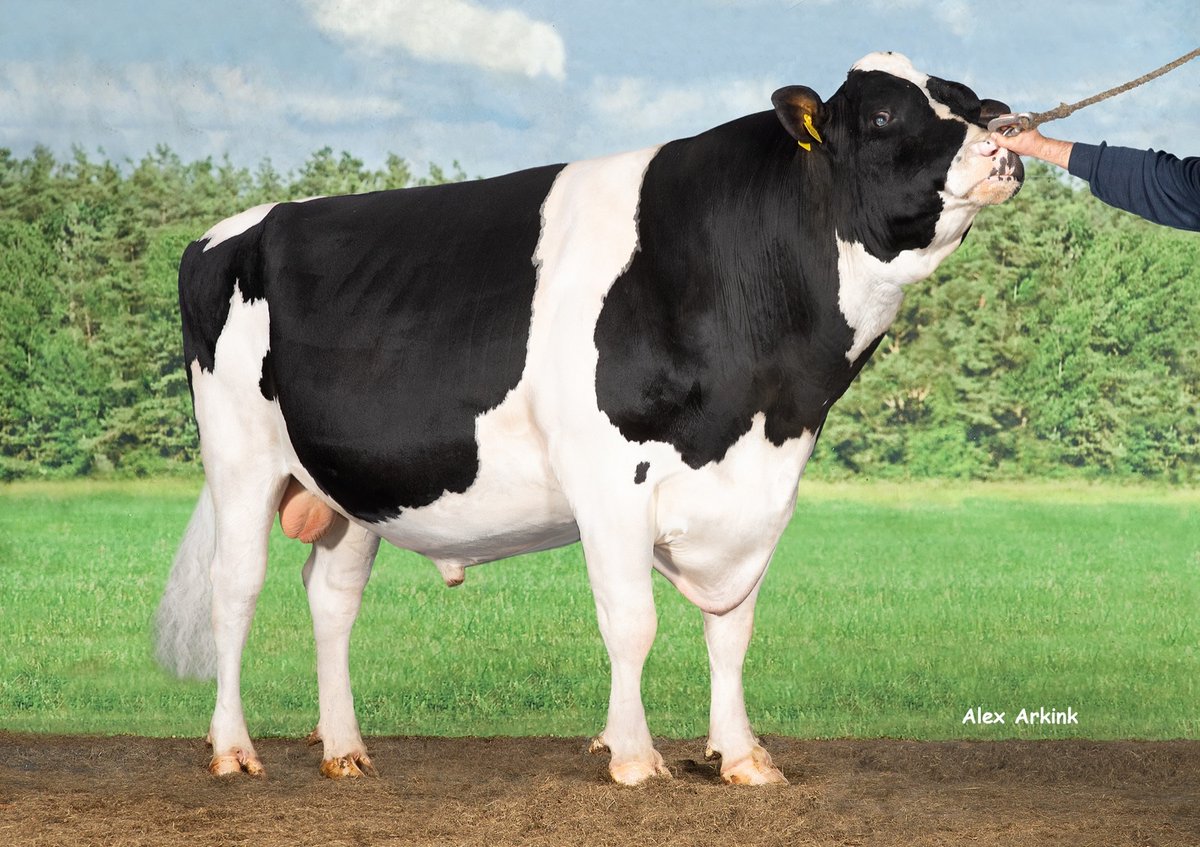 De invloed van Double W Ranger breidt zich verder uit via zonen, kleinzonen en achterkleinzonen. #Indexdraai
bit.ly/42ZWGto