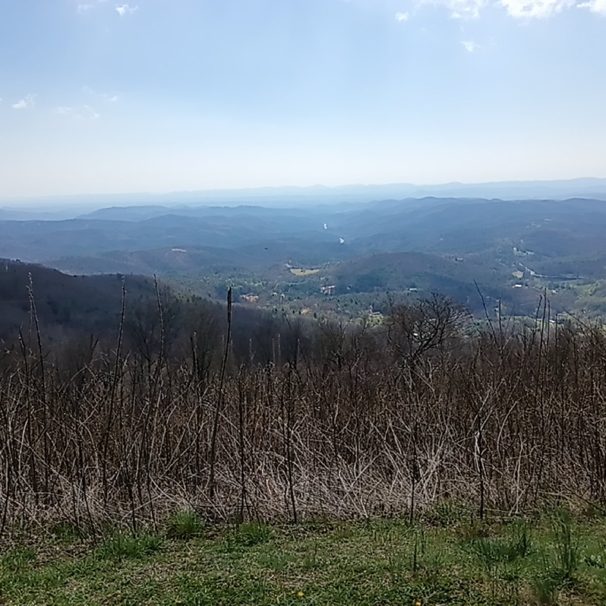 dewitte's tweet image. #mountain view in NC