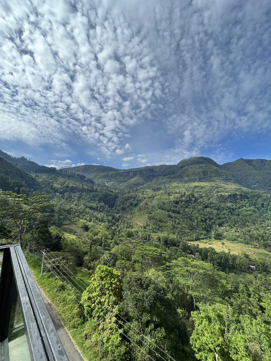 GM from this side of the world! 

It’s always a good idea to go to the nature to reconnect and get inspired 🎨. 

Are you more an office or a remote worker? 👩‍💻