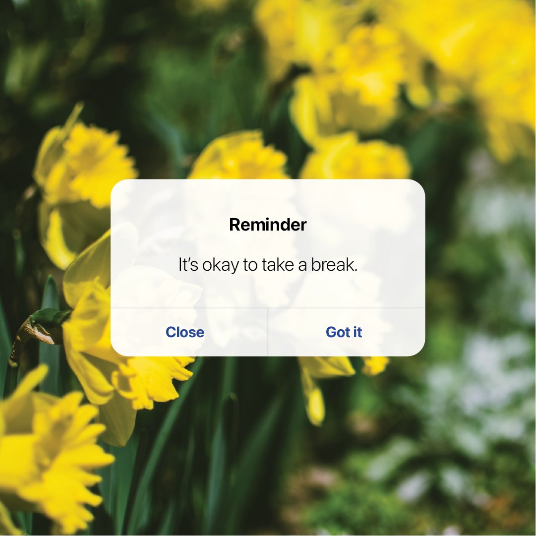 Remember to take some time to yourself and rest during the spring break. 🌼