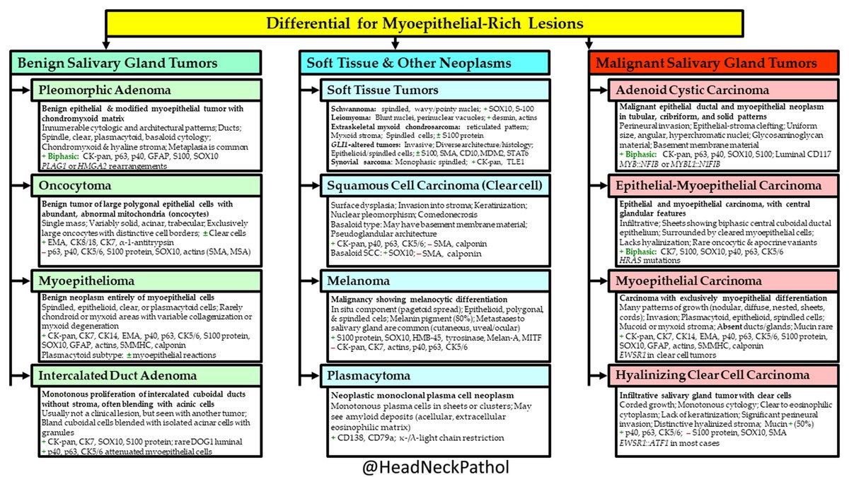 HeadandNeckPath's tweet photo. Top Ten Differentials to Mull Over for Head and Neck Myoepithelial Neoplasms
By Lester D. R. Thompson &amp; Bin Xu
https://t.co/dMAY7Lz9Rg
#HeadNeckPathol #HNPJ #HeadandNeckPath #Pathology #ENTPath #PathologyTweet https://t.co/1ZaF4vrY4C