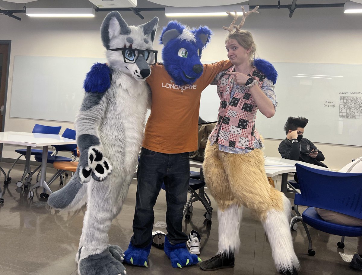 ApolloBlueWolf's tweet photo. Some furry dinner shenanigans with @LonghornFurries https://t.co/zfFb8AUk6x