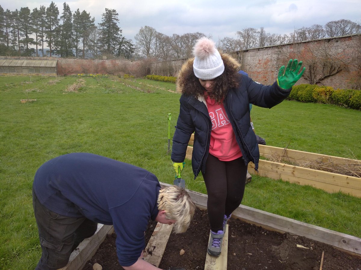 TheStarfishWay's tweet photo. This week Arwen, Marilia, Jay and Will helped our wonderful volunteer Johnathan to plant potatoes and our young people also helped Johnathan to prepare the vegetables beds.
Hope you had a great afternoon and keep up the amazing work!
#DofE #PKDofE #StarfishWay @MegginchCastle https://t.co/ShI3uC0EJe