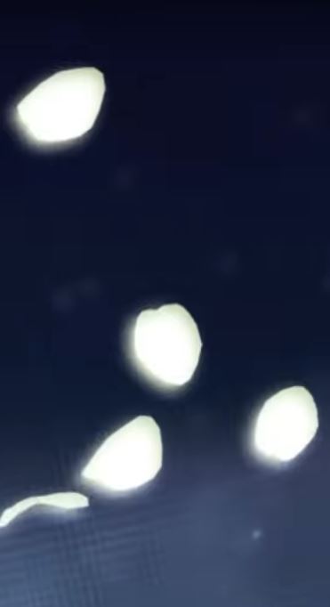 rtSummerRose's tweet image. 