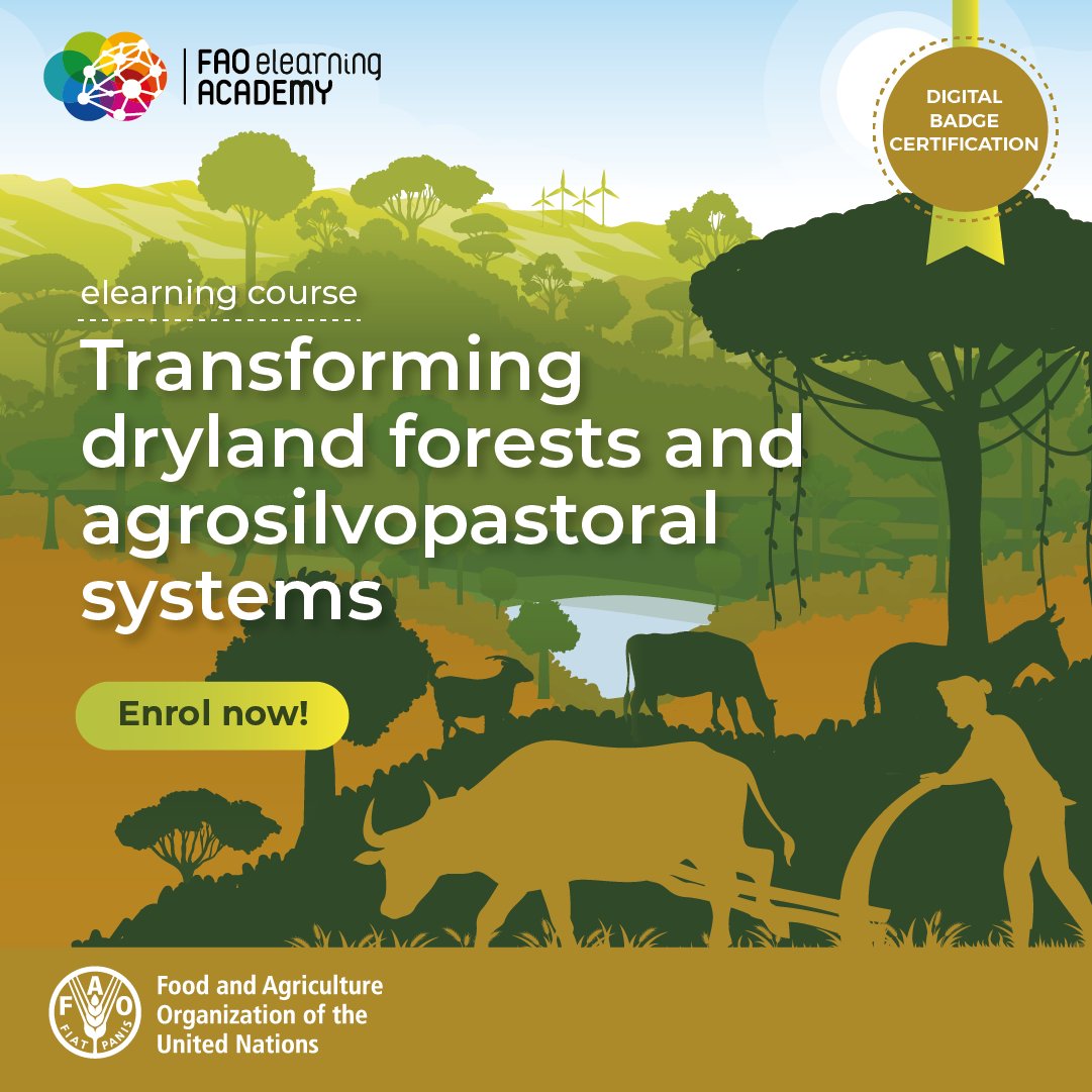 Do you want to learn more about transforming dryland forests and agrosilvopastoral systems?

Enrol in a free online course at <a href="/FAO/">Food and Agriculture Organization</a>'s elearning Academy!

👉 bit.ly/3U2iNvc