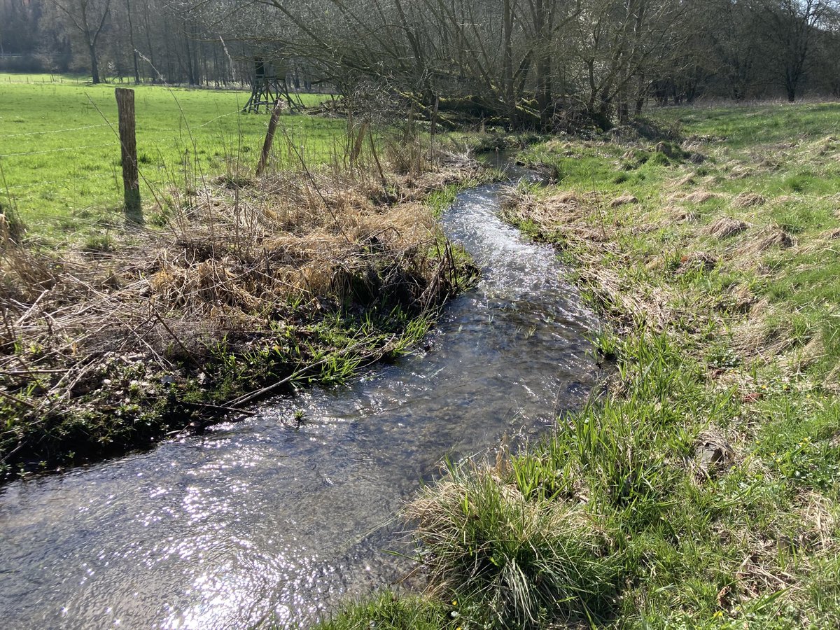 This is prime river restoration concept: block artificial channel and divert the water into neighboring forest without modeling a new riverbed. Now natural riverbed is up to 60 times wider than in channelized version. Same stream, same day, 200m apart.