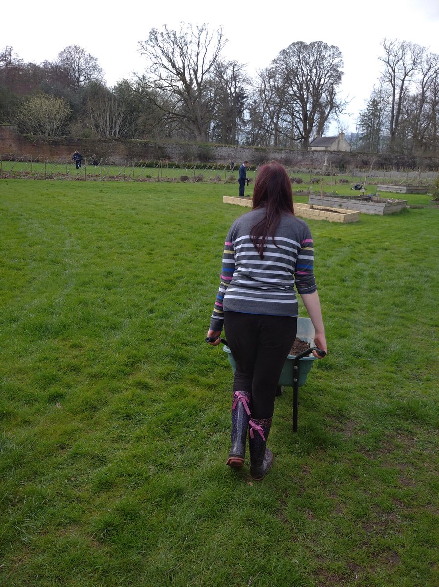 TheStarfishWay's tweet photo. Thank you very much to our wonderful staff and lovely volunteers for supporting our young people at our volunteering day within Megginch Gardens this week.
All the volunteers that supported us were so kind and very helpful.
@MegginchCastle #DofE #PKDofE #StarfishWay https://t.co/gHZ7wSGgf9