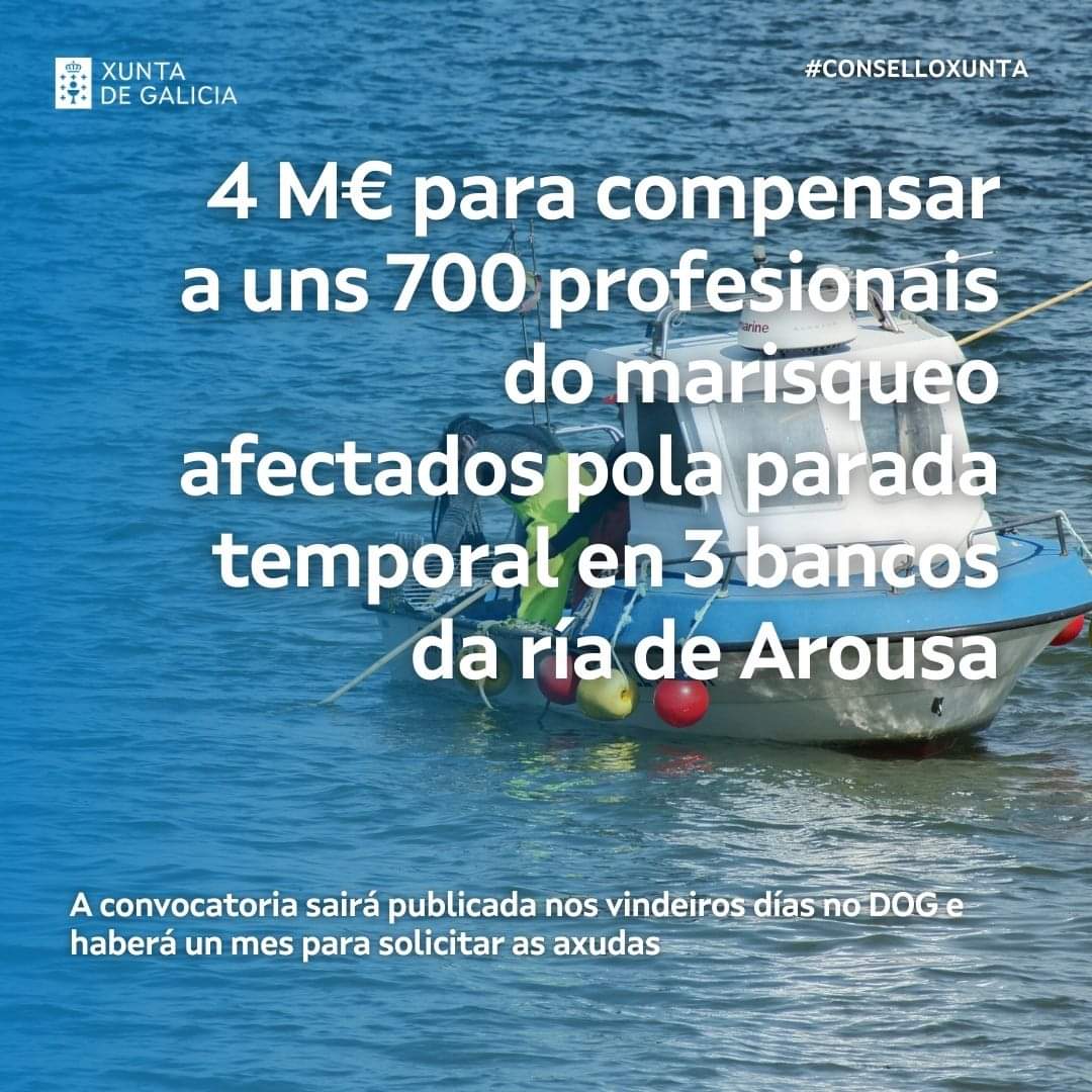 🚢 O #ConselloXunta avaliou as axudas para compensar a armadores e tripulantes de 420 barcos

Para solicitalas terán que ⤵

🔹 Ser embarcacións con permiso de marisqueo na zona e porto base en Galicia
🔹 Ter faenado cando menos 120 días entre 2021 e 2022