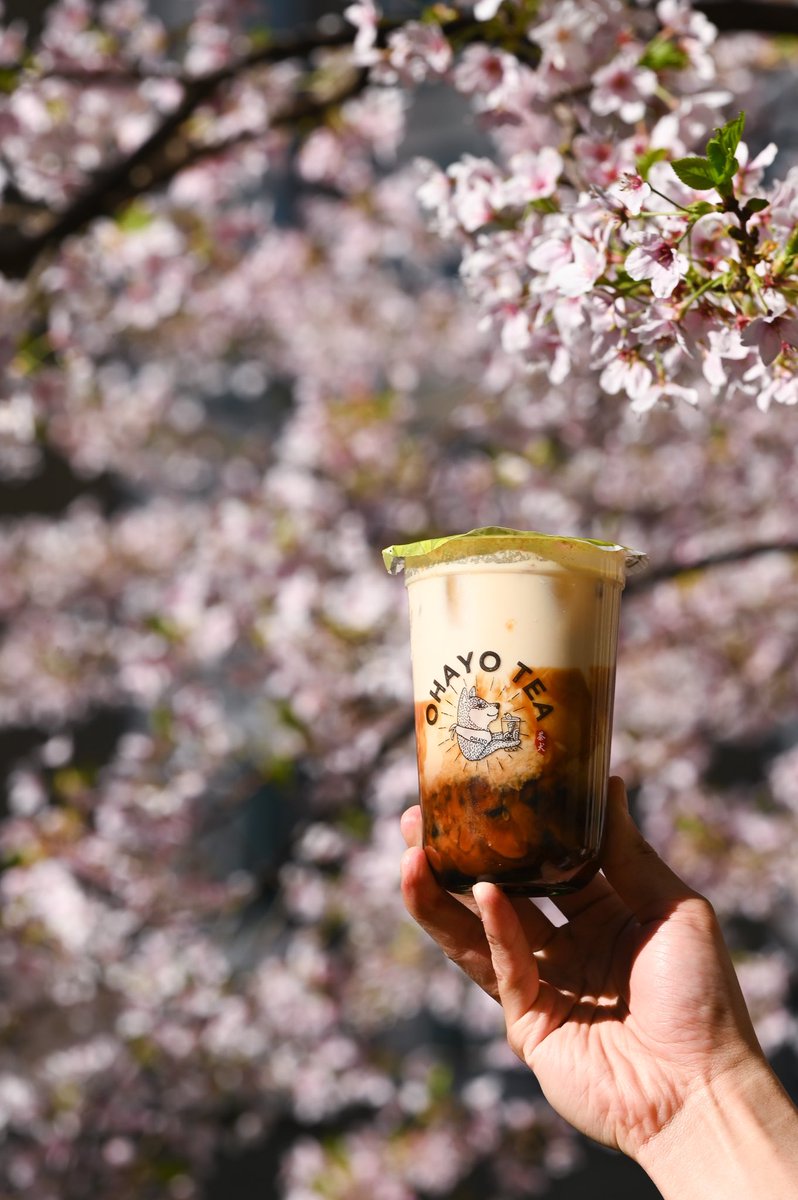 Indulge in the sweet bliss of spring with our Dirty Biscoff drink, perfectly paired with the enchanting beauty of Sakura season. Come and experience the magic at Ohayo Tea! 🌸🍹 #DirtyBiscoff #SakuraSeason #OhayoTea #BubbleTeaLove #DrinkGoals #SpringVibes