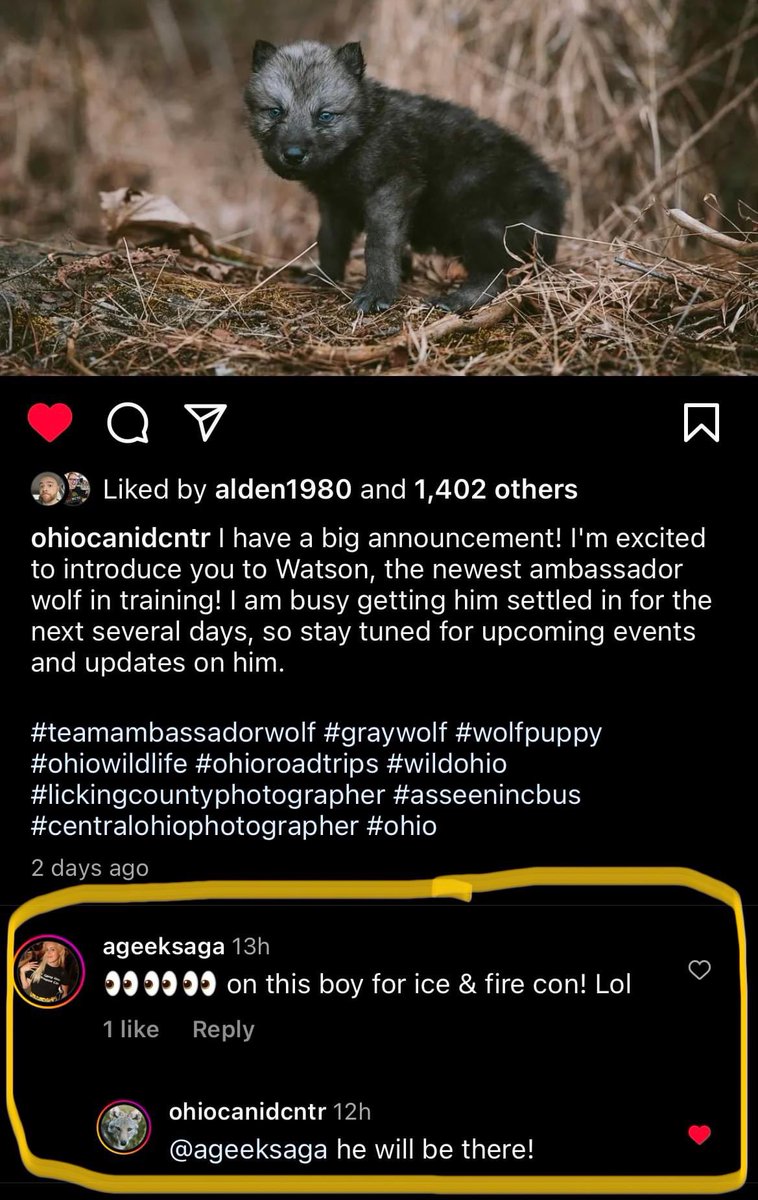 Ice & Fire Con tweet media