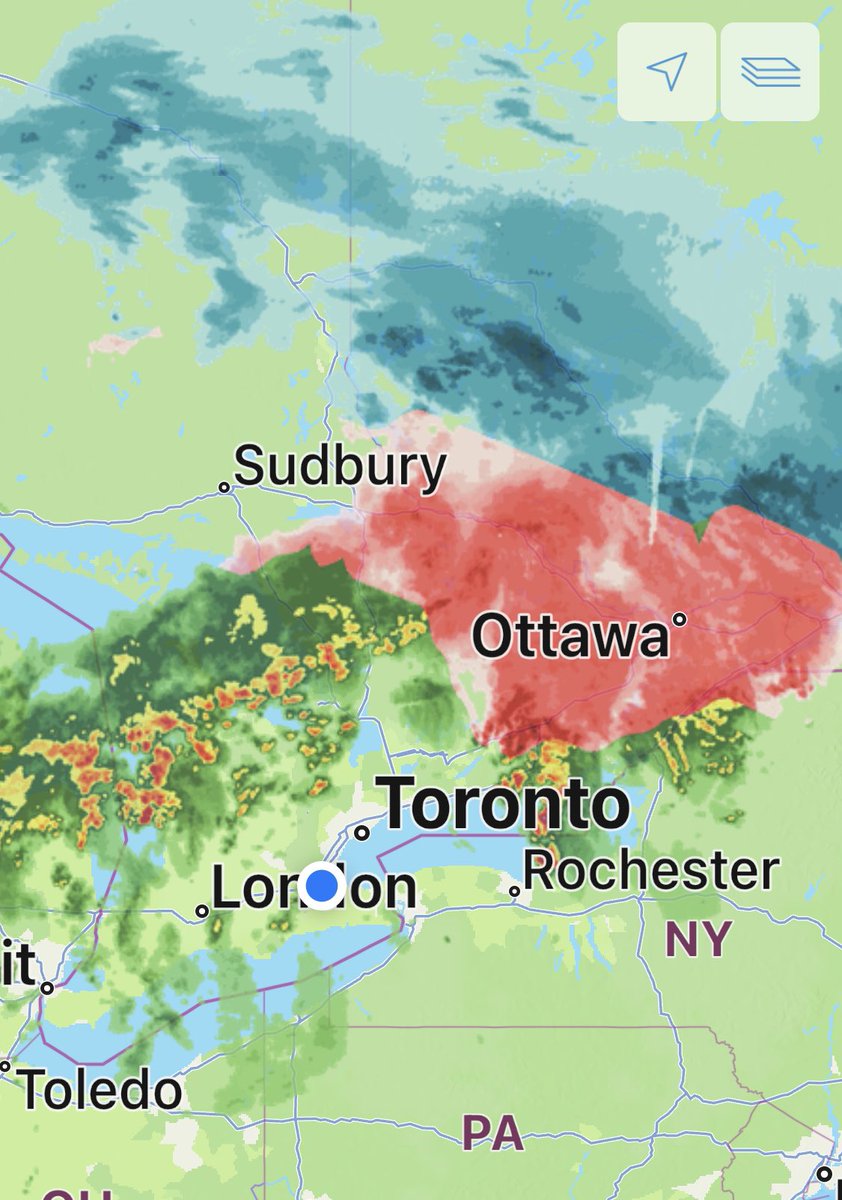 Kim MacDonald 🌻 tweet media