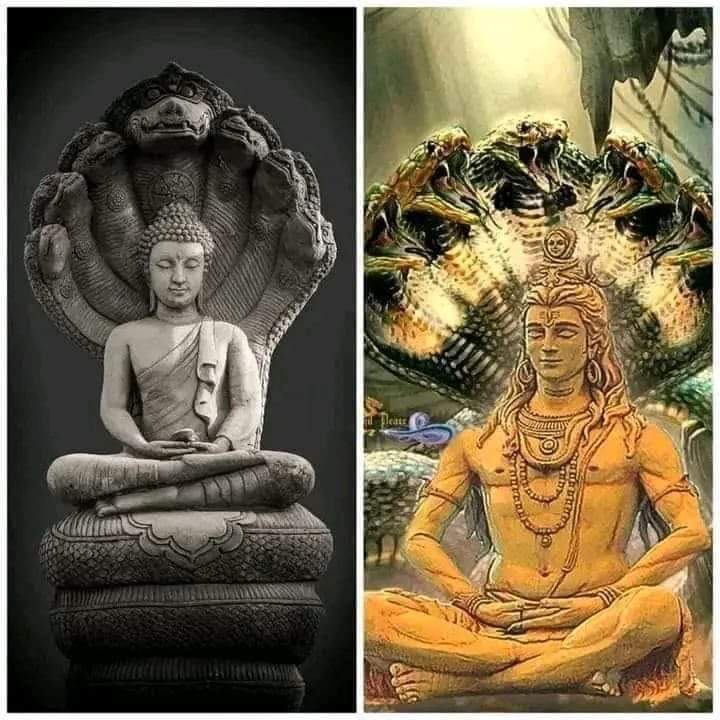 RajeshHnd's tweet photo. एक बात बता दू। तुम्हारा भारत में कोई इतिहास नहीं है
आपका इतिहास है जातक कथाओं से चोरी करके बौध्दिसत्व राम को ब्राह्मनाइजेशन किया गया है
भारत के ST SC OBC नाग लोग हैं जो भारत के मुलनिवासी लोग हैं
आपका सारा का सारा इतिहास चोरी का है महोदय
#DNA_report https://t.co/1y8GMTbzK2
