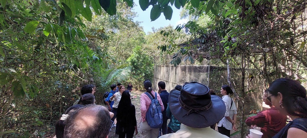 Lucía Meza (@luciameza_caf) on Twitter photo Se inicia la construcción del centro de capacitación para guías turísticos en <a href="/PmaRainForest/">Panama Rainforest DC</a> en el marco de la acción de <a href="/ATP_panama/">Autoridad de Turismo de Panamá</a>, de turismo sostenible y de investigación. Esta iniciativa se suma a 1000 kms de sendero apoyada por <a href="/AgendaCAF/">CAF</a>.
#25añosCAFPanamá #PanamáNosInspira Se inicia la construcción del centro de capacitación para guías turísticos en <a href="/PmaRainForest/">Panama Rainforest DC</a> en el marco de la acción de <a href="/ATP_panama/">Autoridad de Turismo de Panamá</a>, de turismo sostenible y de investigación. Esta iniciativa se suma a 1000 kms de sendero apoyada por <a href="/AgendaCAF/">CAF</a>.
#25añosCAFPanamá #PanamáNosInspira