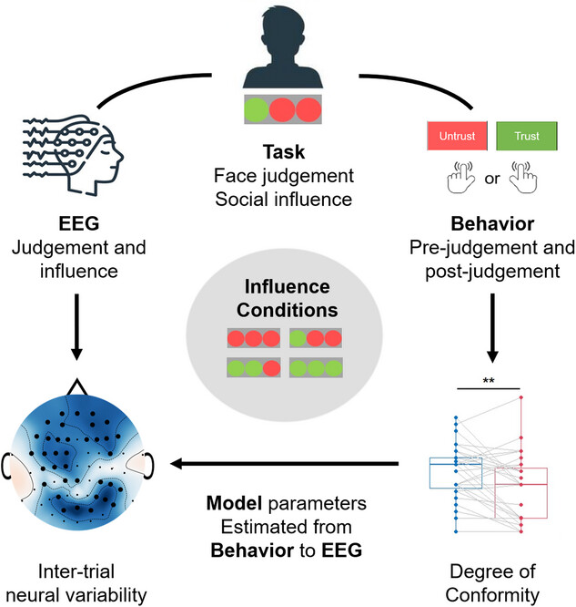 ANDlab3's tweet photo. Share our latest two EEG studies about social conformity: (1) https://t.co/CumnJ595Lb (2) https://t.co/CuLTJM1VH5. Many thanks to all the collaborators! https://t.co/BY9yN1OpsK