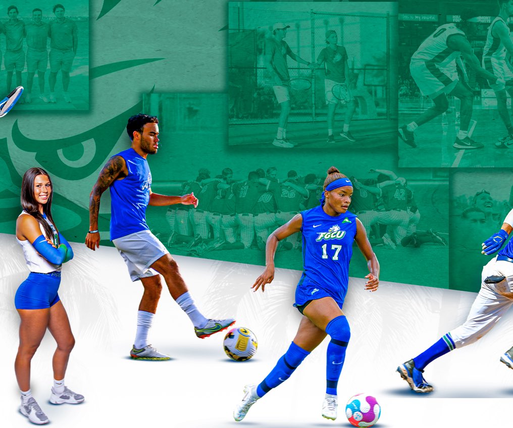 FGCUEagles's tweet photo. National STUDENT-Athlete Day celebrates the outstanding achievements of student-athletes who have achieved excellence in academics and athletics - as well as in their schools and communities! 🎉 

#WingsUp #FGCU 🤙🦅🌴 https://t.co/AWfVHxNqgM