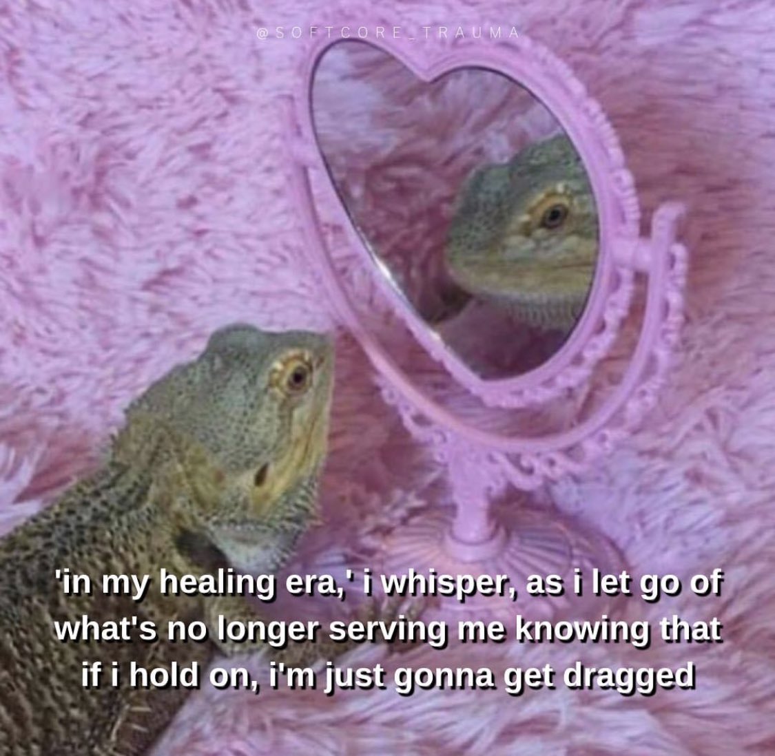 earthdombaby's tweet photo. HAPPY FULL MOON IN LIBRA💖 https://t.co/gljVzZZXsk