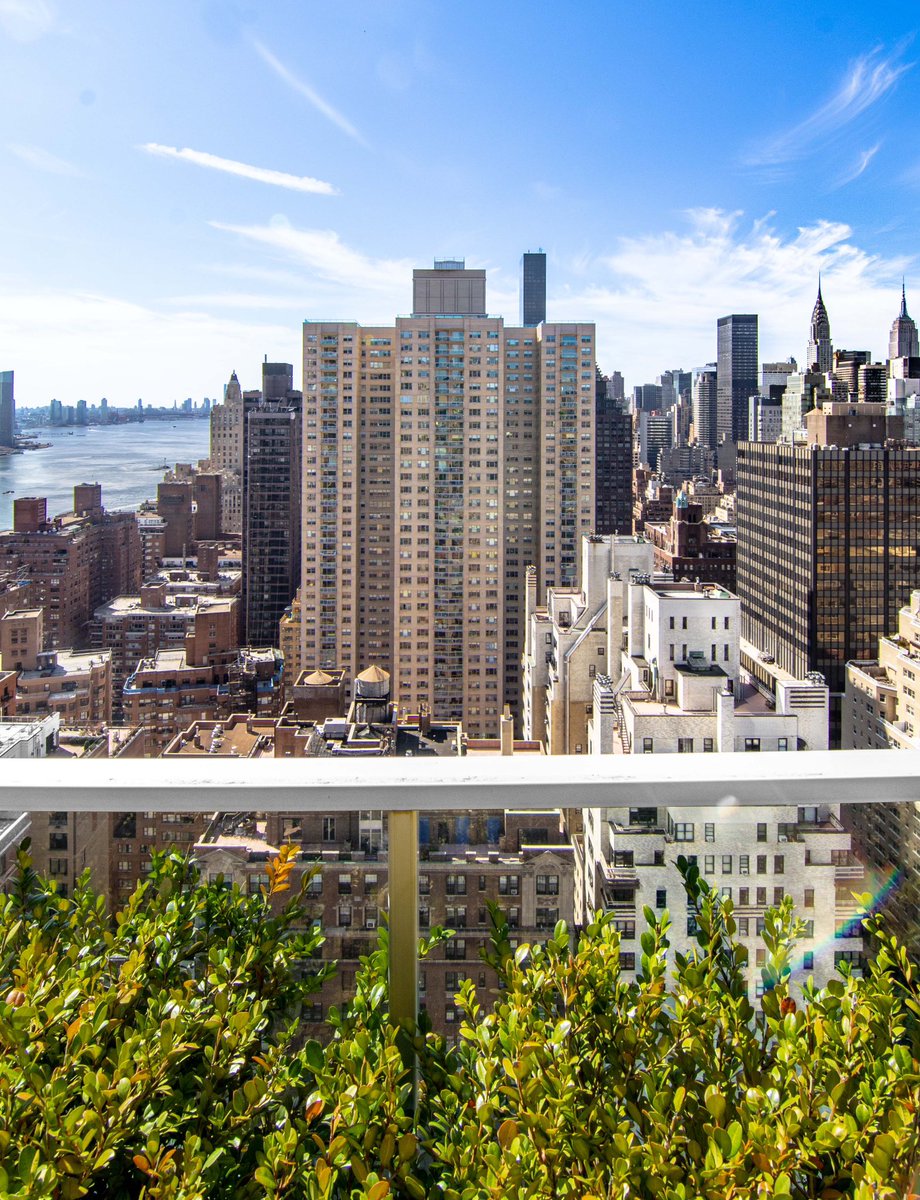 Tomi Rose tweet media