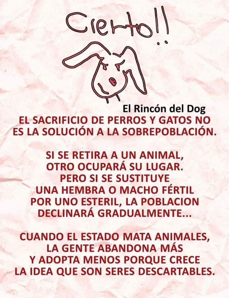 Perrosenlacalle's tweet photo. Una gran verdad acerca de la sobre población de perros y gatos.... https://t.co/SuKyHyK2kf