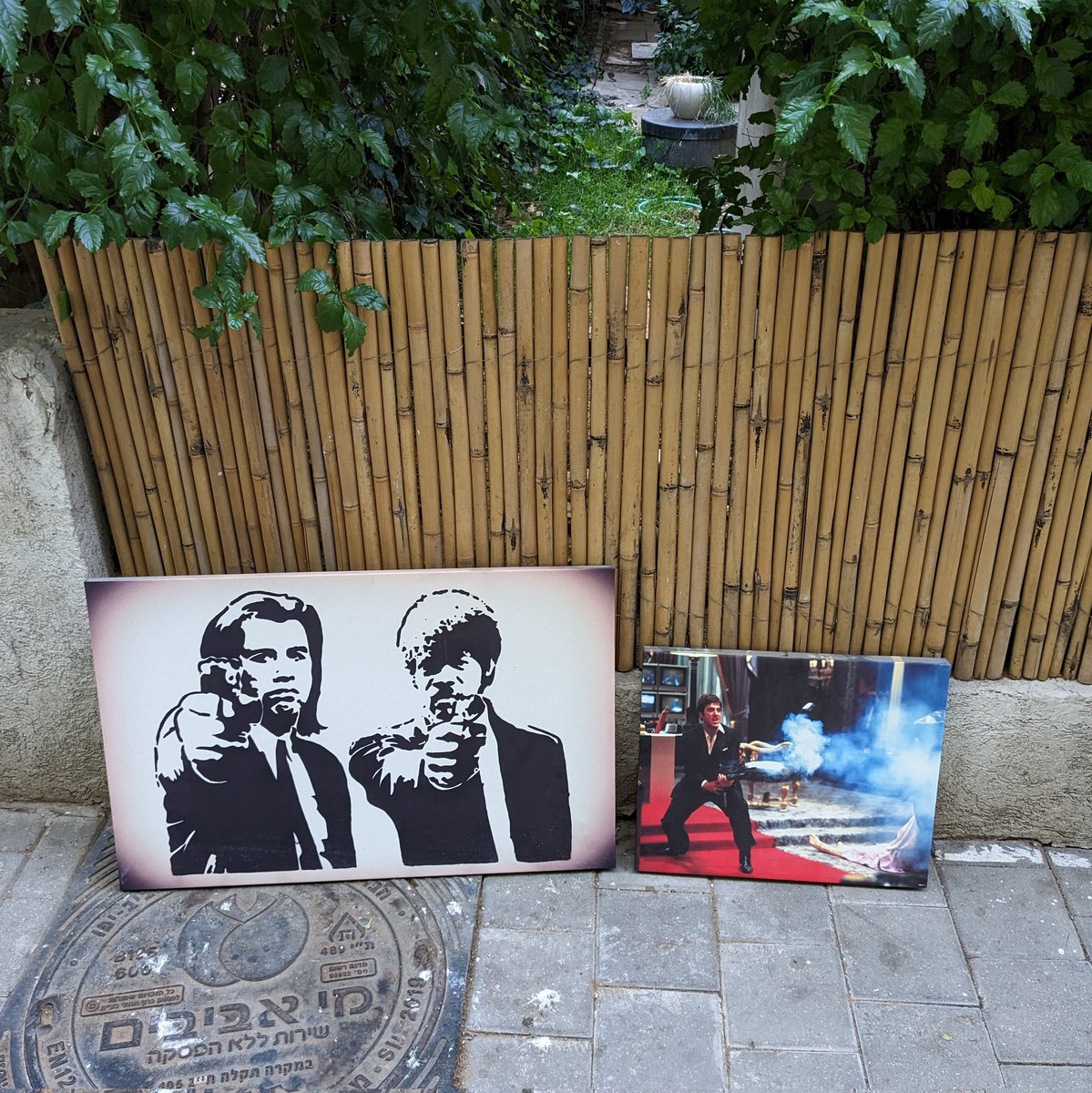 אמיר-בלי-בצל tweet media