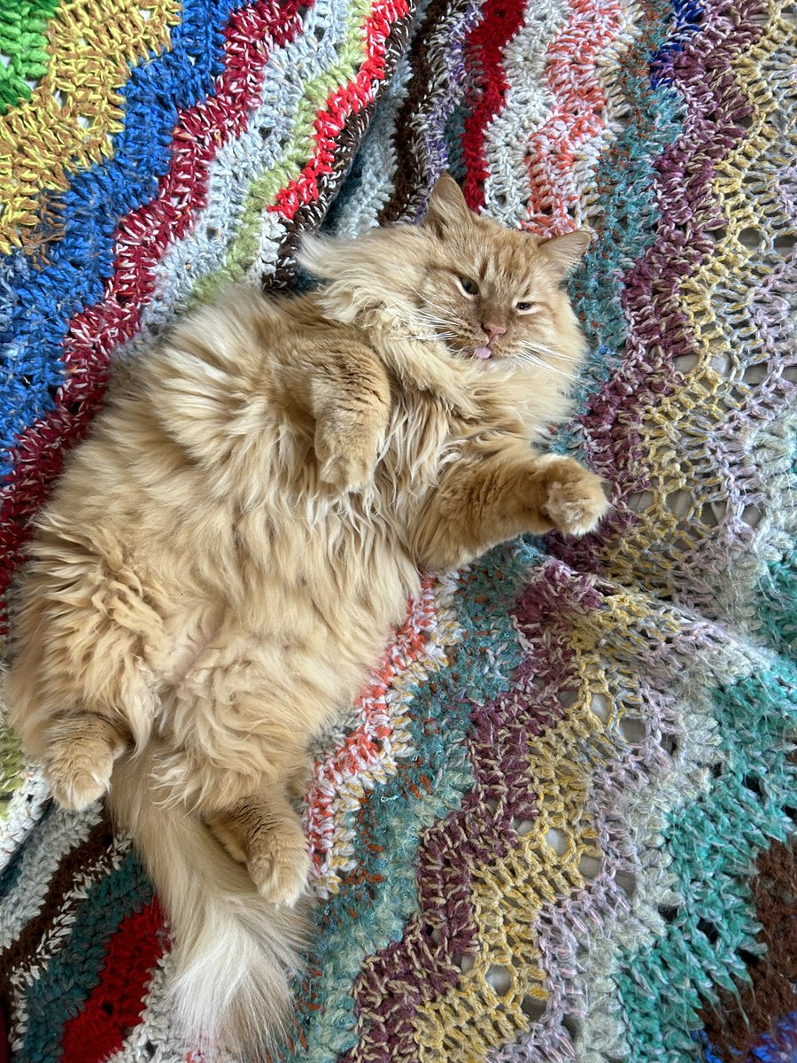 TrevorDoiron's tweet photo. @weirdlilguys Axel keeping it casual https://t.co/oJI1WluVIT