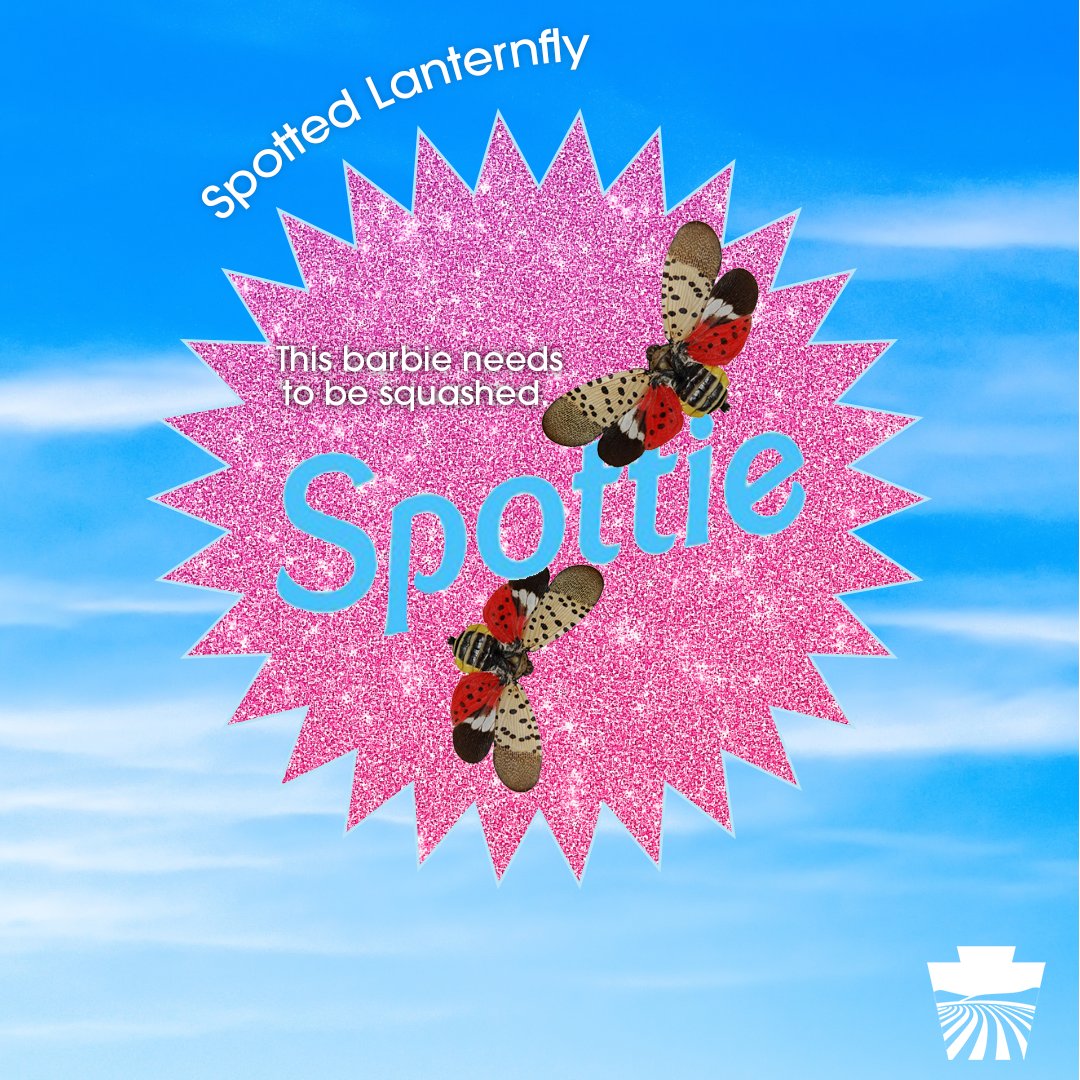 PAAgriculture's tweet photo. C'mon, Spottie! Let's go party😏

Just kidding! No parties for this #badbug. If you see a #SpottedLanternfly, squash it.

Learn more: https://t.co/cFk6JgDpfr https://t.co/qwg0AP1AKH