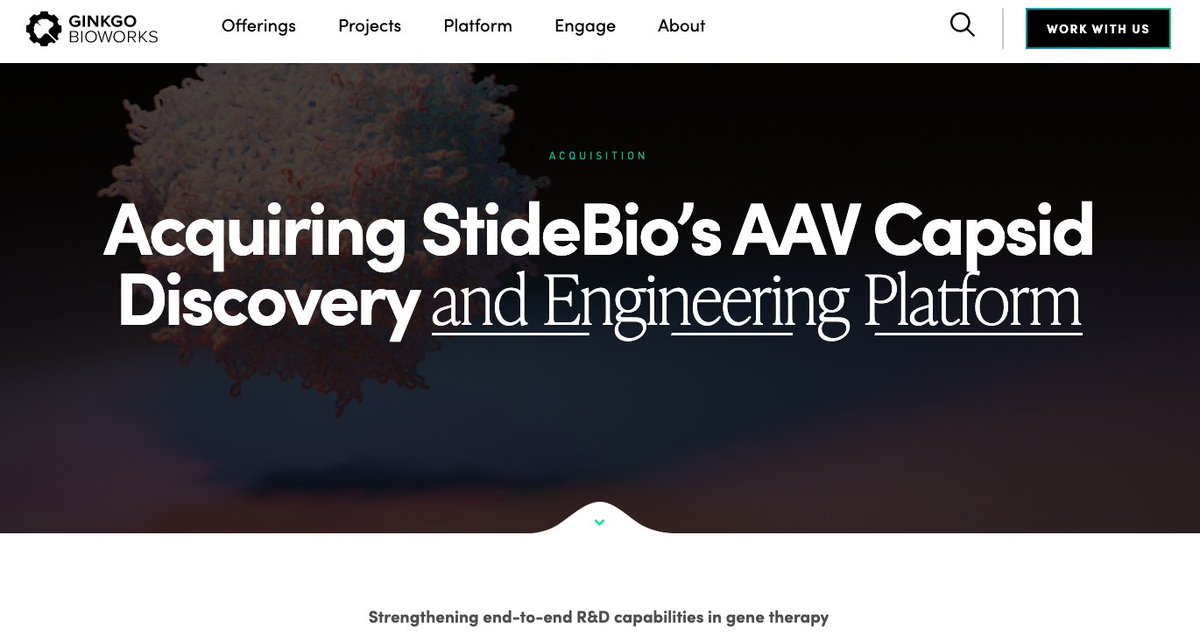 Tom Morris tweet media