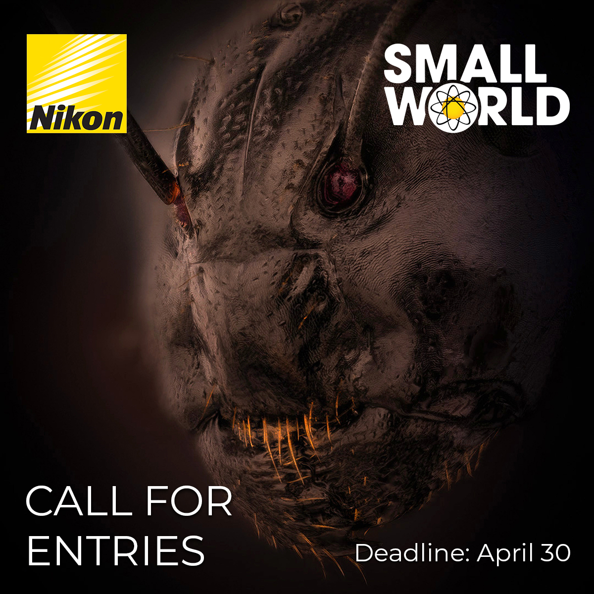 Calling all artists, photographers, and scientists passionate about #Microscopy! Now's your chance to enter the longest running competition of its kind, #NikonSmallWorld. Submit your images and/or videos taken through the microscope by April 30th: enter.nikonsmallworld.com