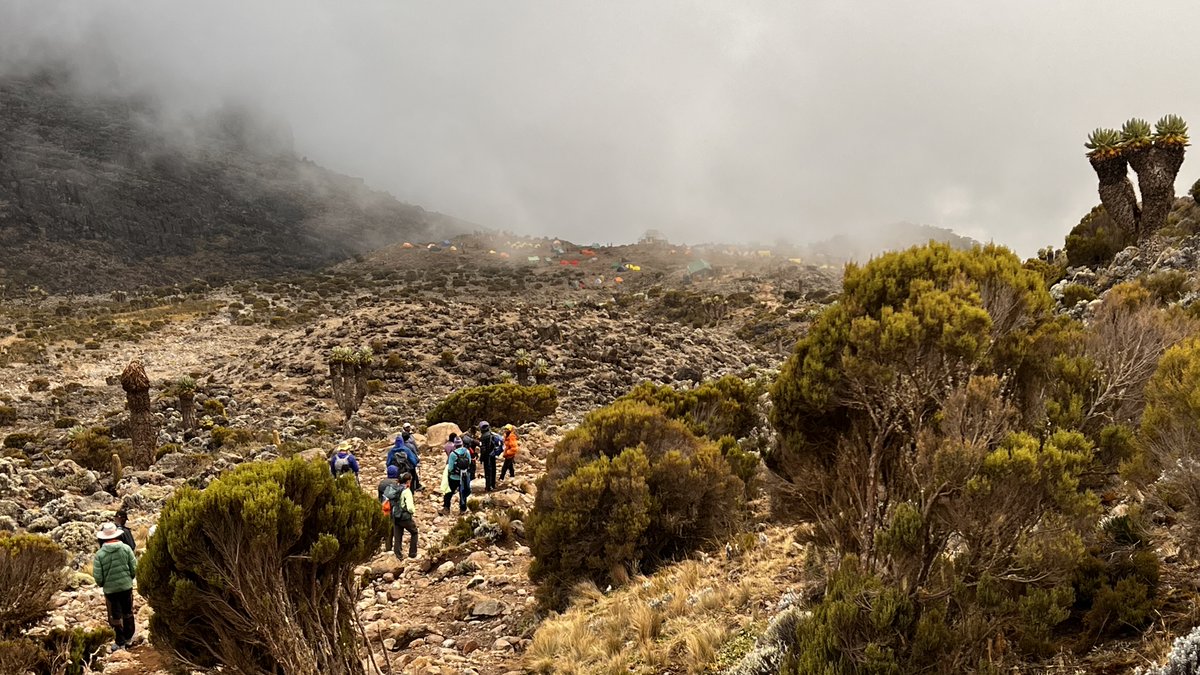 UNOSNews's tweet photo. 1/ On March 3, a team of living donors, friends and family took their first steps on a journey to the top of the world.
Destination: the summit of Mt. Kilimanjaro.
Goal: to share their stories and promote the lifesaving gift of #livingdonation. #DonateLife #LivingItForward https://t.co/9XAzdf0UCw