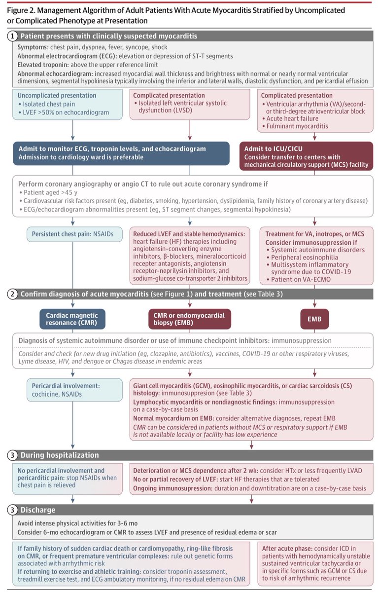SeguraCardio's tweet photo. 📌Diagnosis &amp; Treatment of Acute #Myocarditis

A #Review at @JAMA_current 
#cardioTwitter #cardioEd https://t.co/nNOalBCLRb