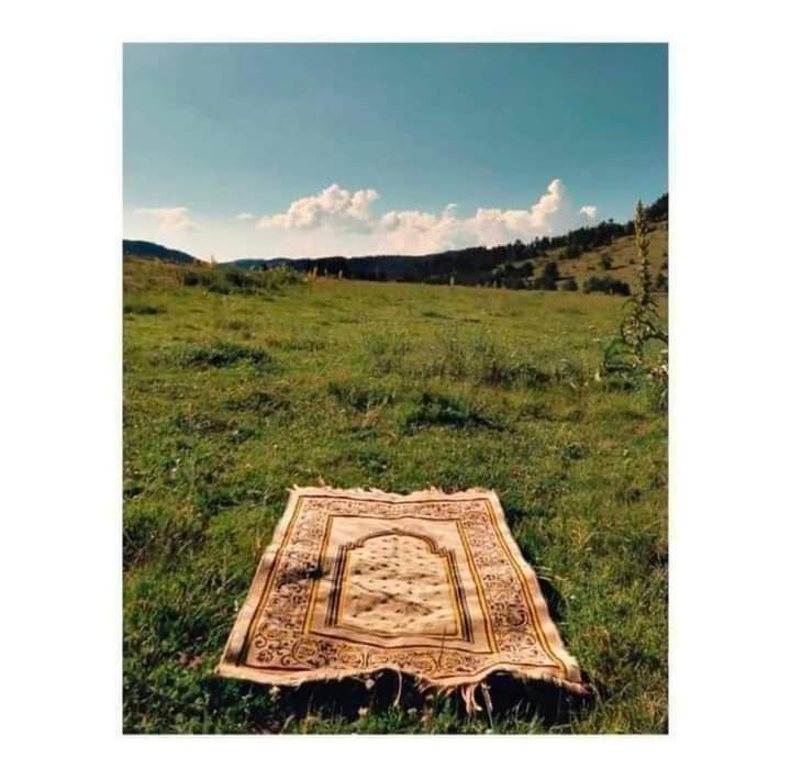 يَا مُقَلِّبَ الْقُلُوبِ ثَبِّتْ قَلْبِى عَلَى دِينِكَ ° 🤍🌸
اے دلوں کو پھیرنـے والـے! ہمارے دل کو اپنـے دین پر ثابت قدم رکھ! ♥✨