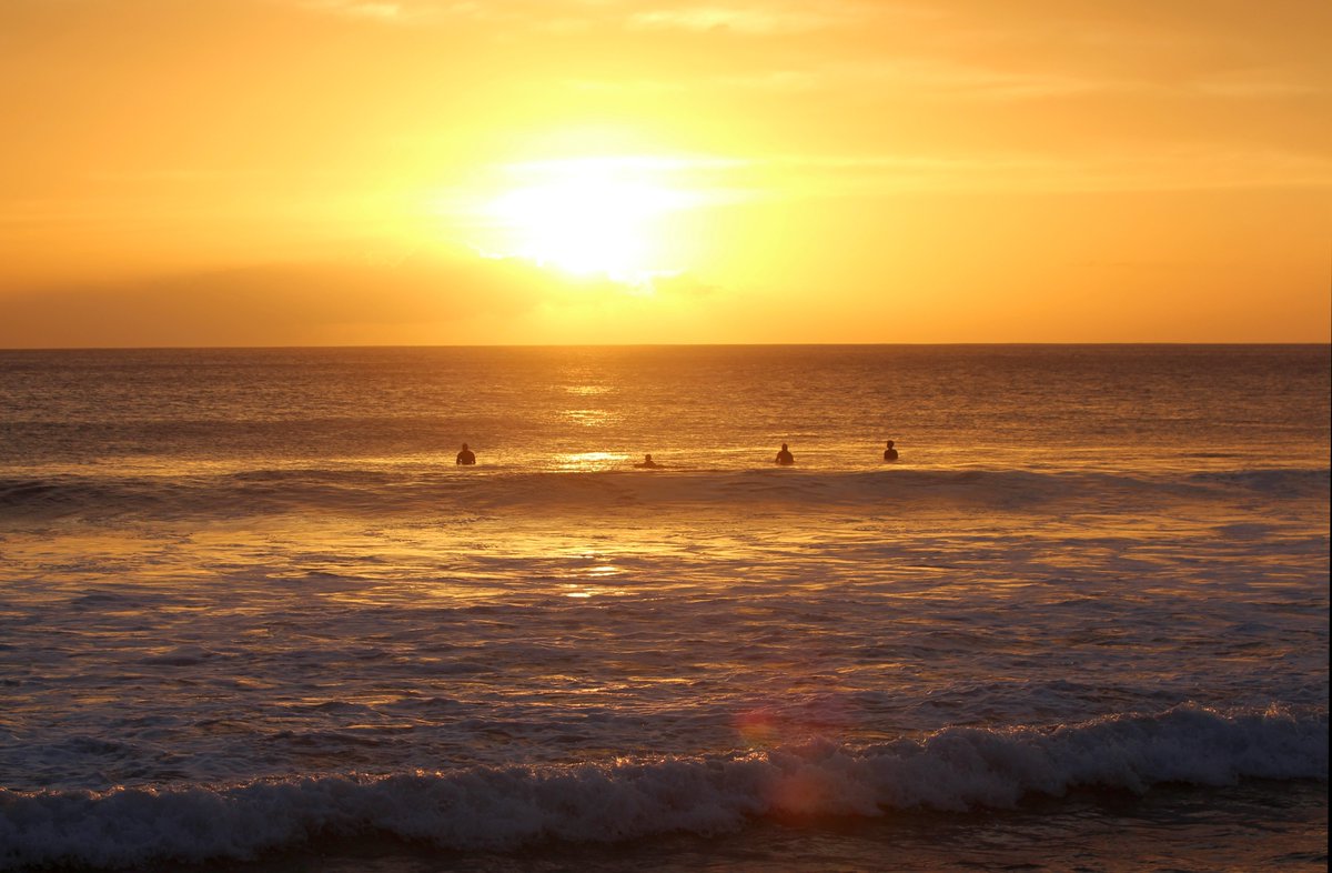 sovatar30's tweet photo. Waiting for the waves on a beach in Oahu, Hawaii

#oahu #hawaii #surfing
#nature #photography #naturephotography #travel
#photooftheday #instagood #beautiful #picoftheday #photo #instagram
#naturelovers #landscape #like #follow #travelphotography #bhfyp #sunset #summer
#life https://t.co/GeyvuPwGzr