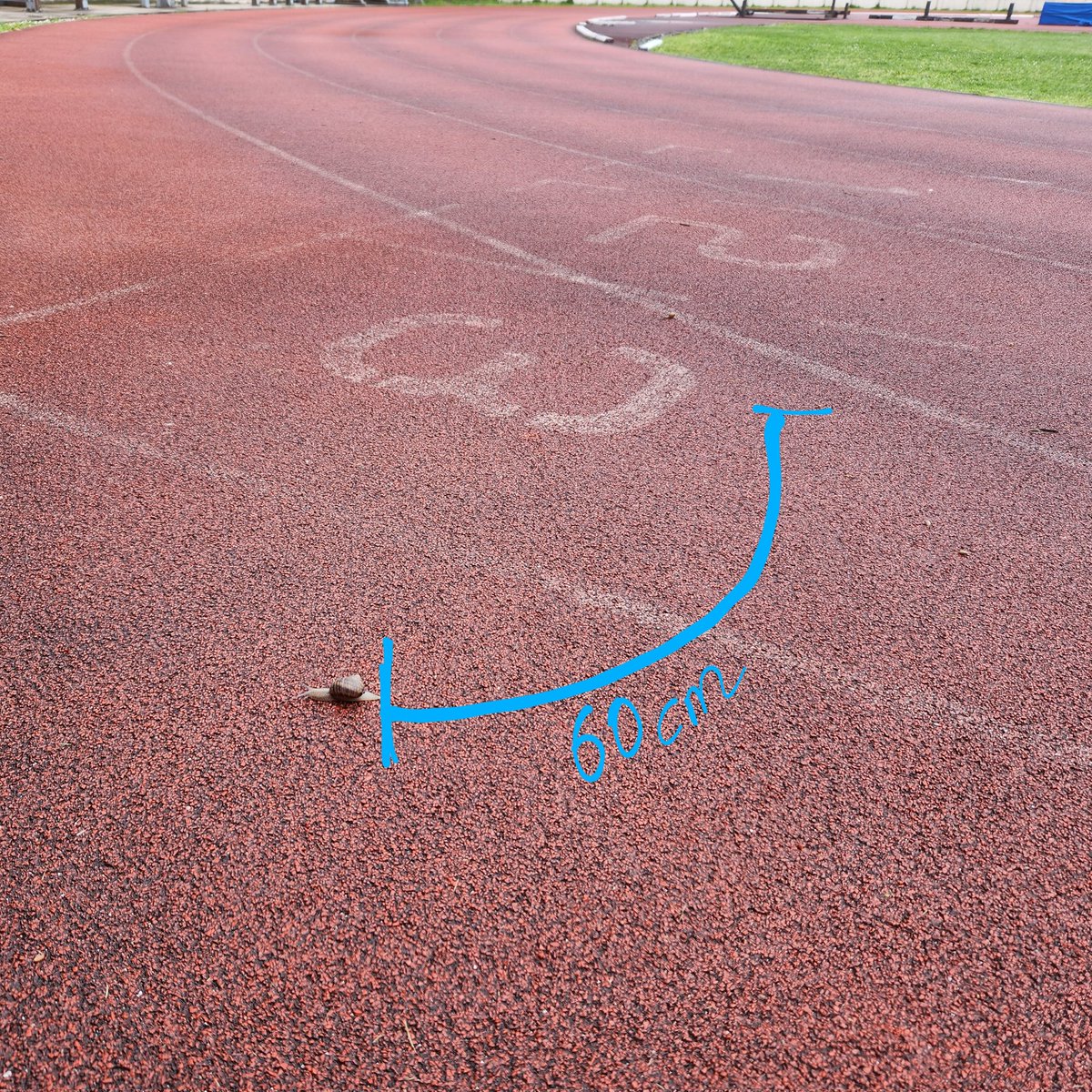 Bugün koşuda yeni biriyle tanıştım ben 1500m o da tam 60cm yol kat etti haftaya sözlestik tekrar yapicaz