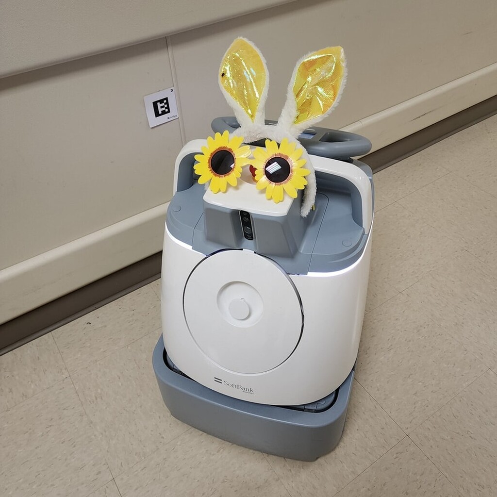 CSISDprojSEARCH's tweet image. Our coworker is looking mighty festive today! 🤣🤣🐇🌻